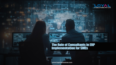 The Role of Consultants in ERP Implementation for SMEs